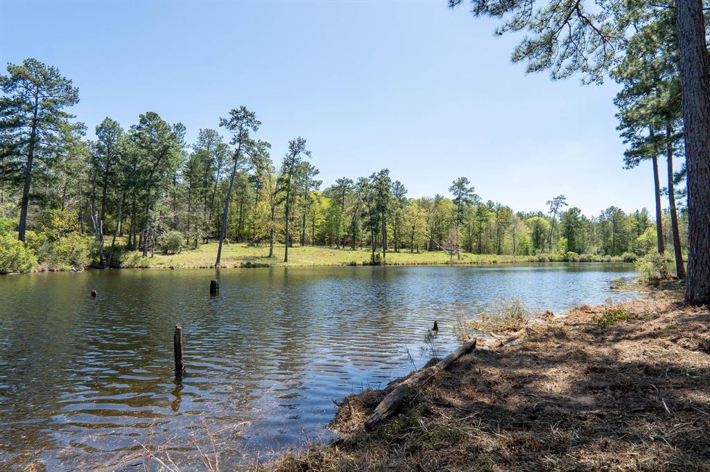 612 Black Squirrel Road, Brookeland, Texas image 39