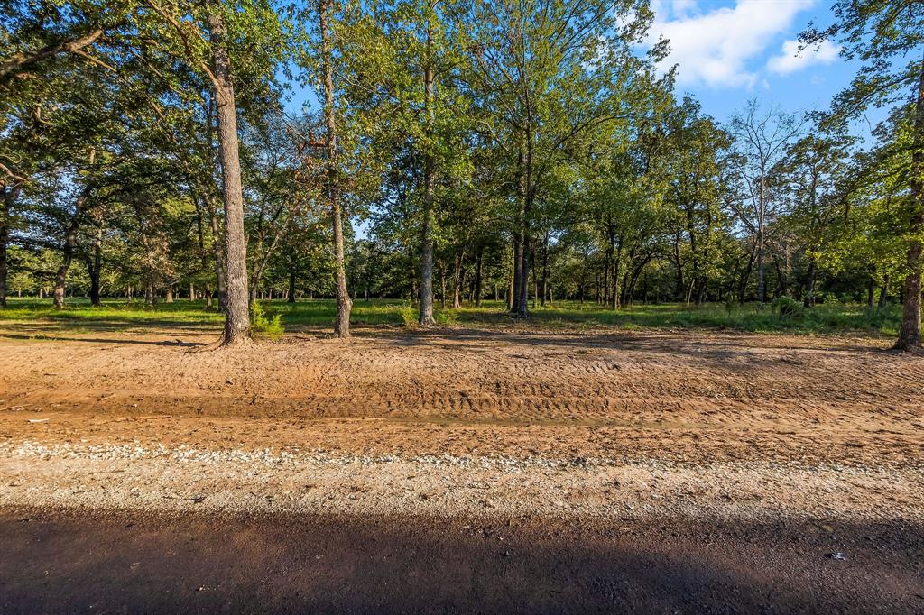 Lot 15 Alans Memorial Lane, New Waverly, Texas image 2