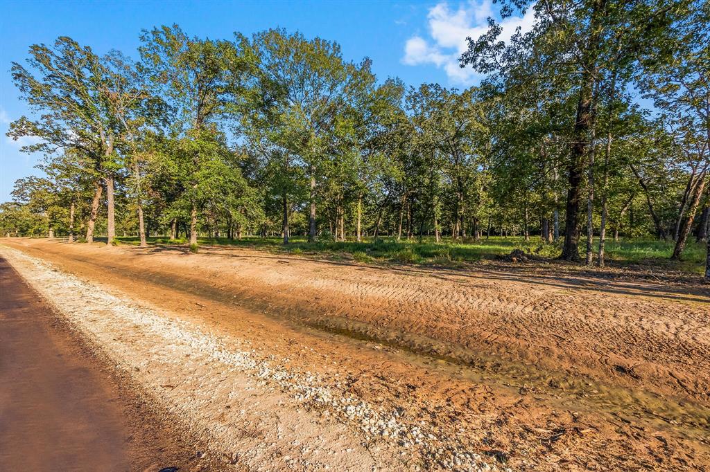 Lot 15 Alans Memorial Lane, New Waverly, Texas image 1