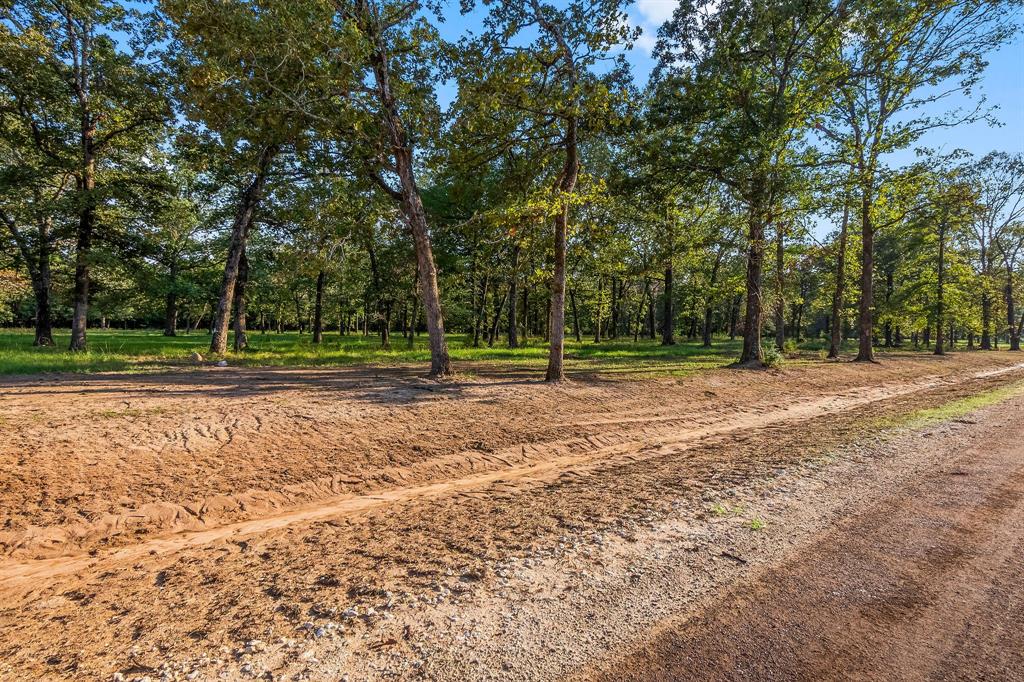 Lot 15 Alans Memorial Lane, New Waverly, Texas image 3