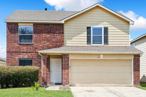 A home in Houston