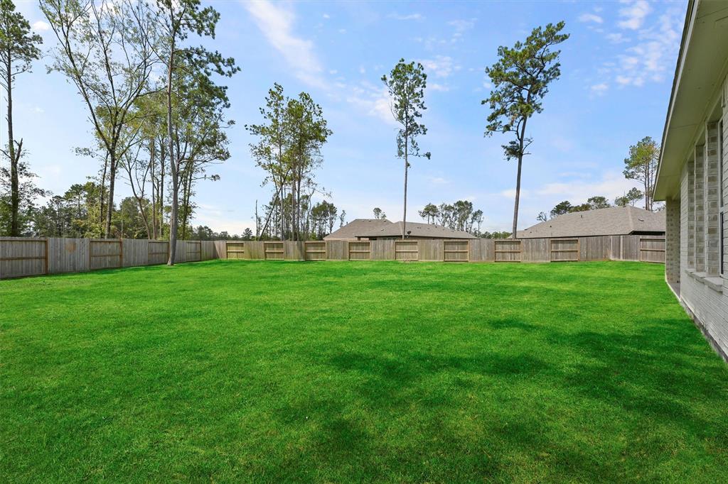 21915 Lake Whitney Court, Porter, Texas image 23