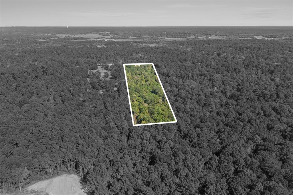 60 Garvey Road, Huntsville, Texas image 2