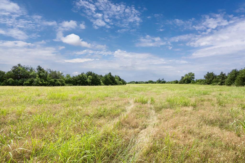 000 School Road Road, Industry, Texas image 4