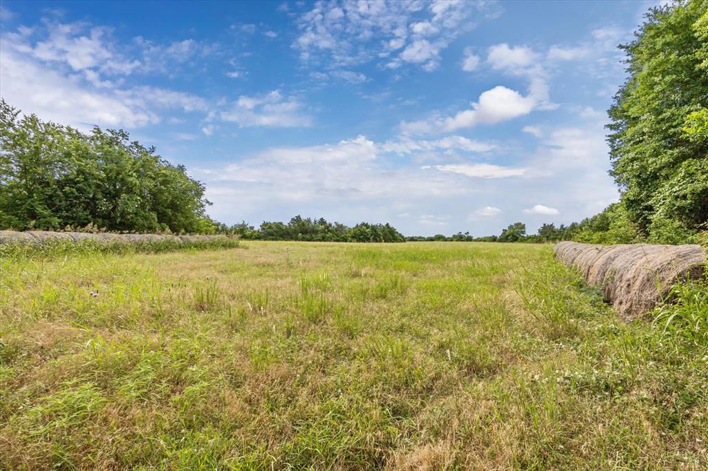 000 School Road Road, Industry, Texas image 2