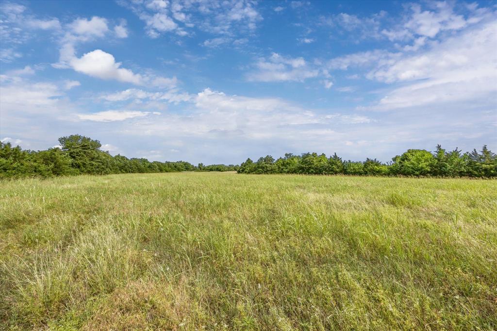 000 School Road Road, Industry, Texas image 5