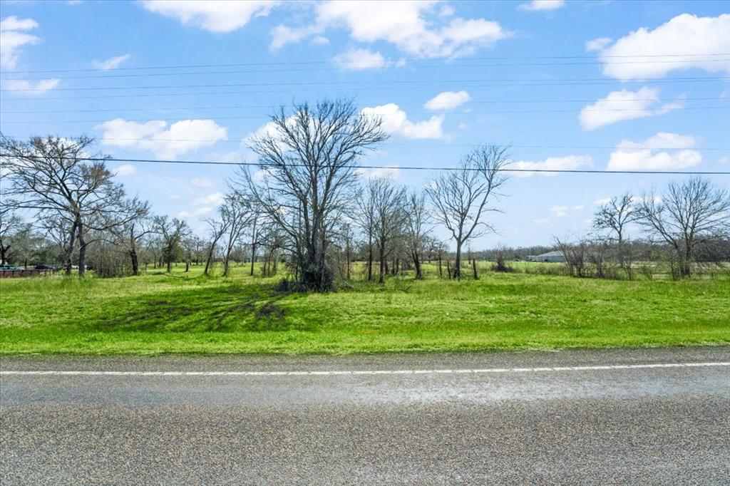 3 Acres Fm 1696, Bedias, Texas image 3