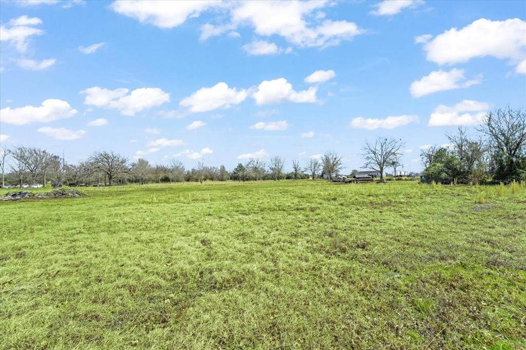 3 Acres Fm 1696, Bedias, Texas image 11