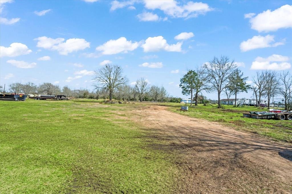 3 Acres Fm 1696, Bedias, Texas image 14