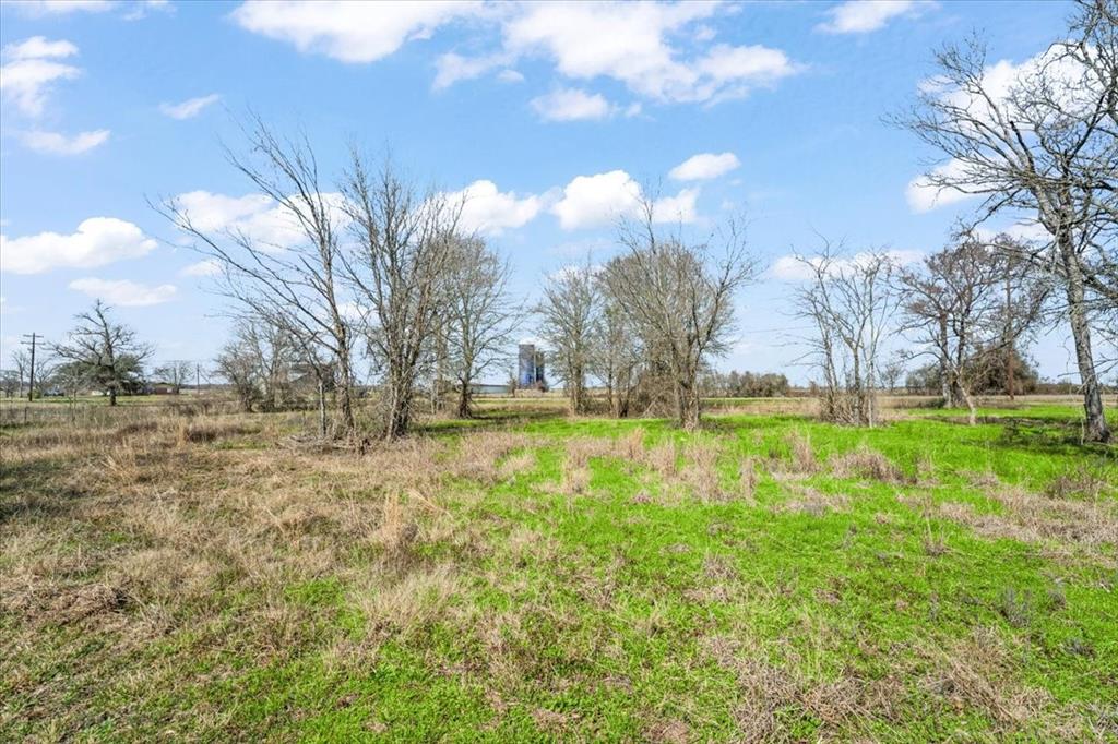 3 Acres Fm 1696, Bedias, Texas image 6