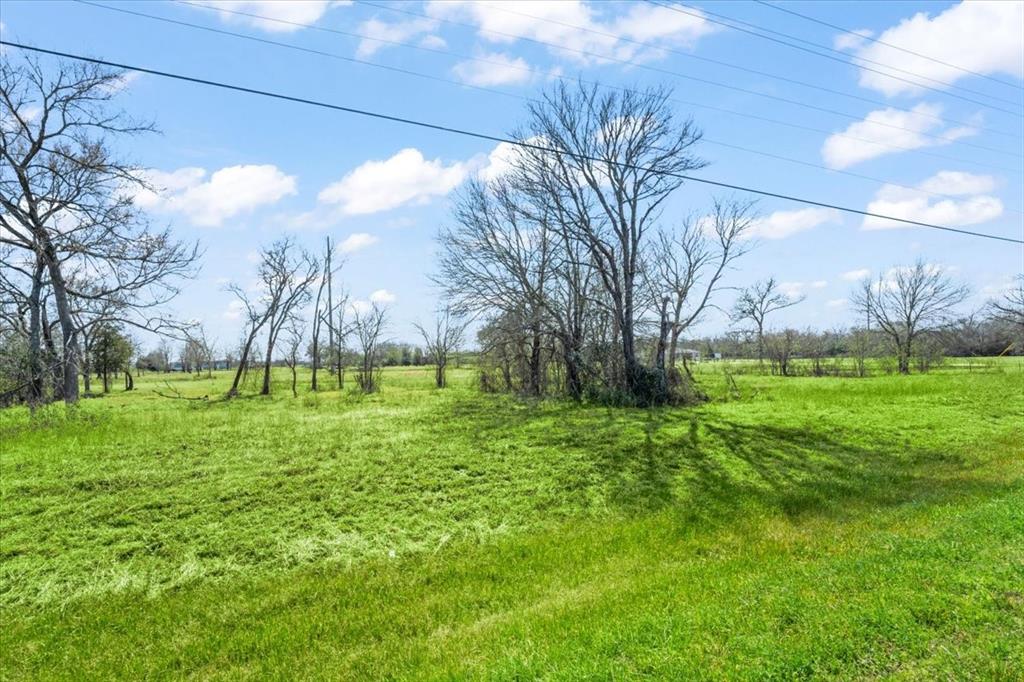 3 Acres Fm 1696, Bedias, Texas image 4