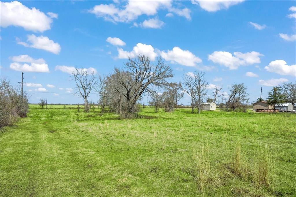 3 Acres Fm 1696, Bedias, Texas image 12