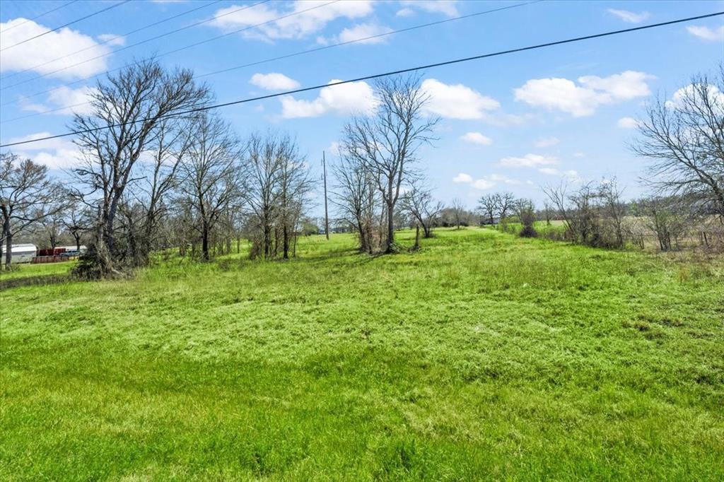 3 Acres Fm 1696, Bedias, Texas image 5