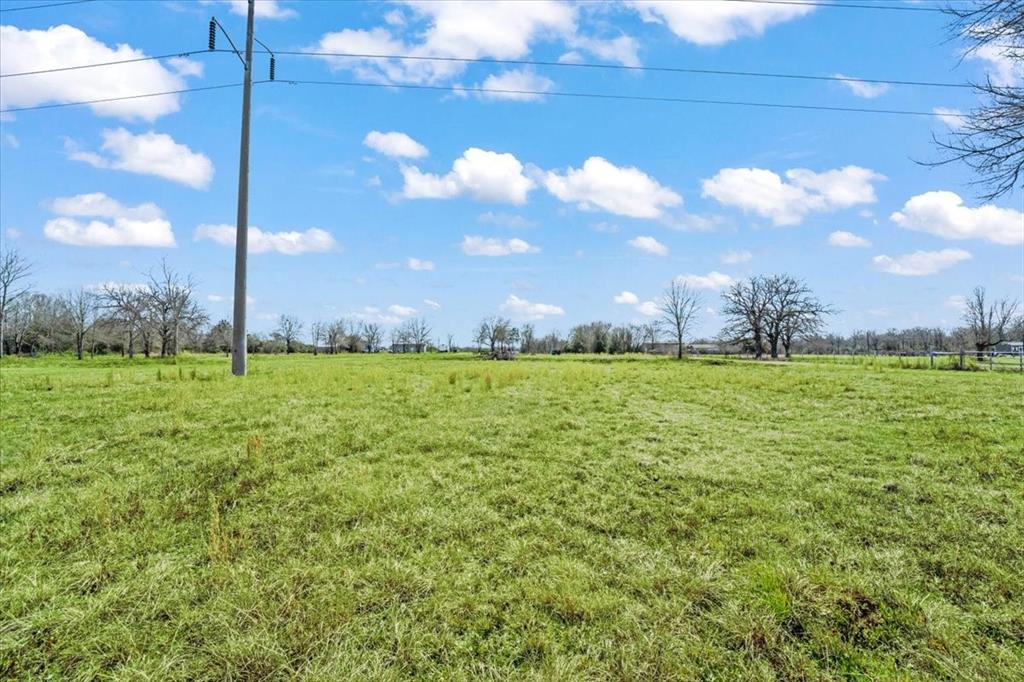 3 Acres Fm 1696, Bedias, Texas image 7