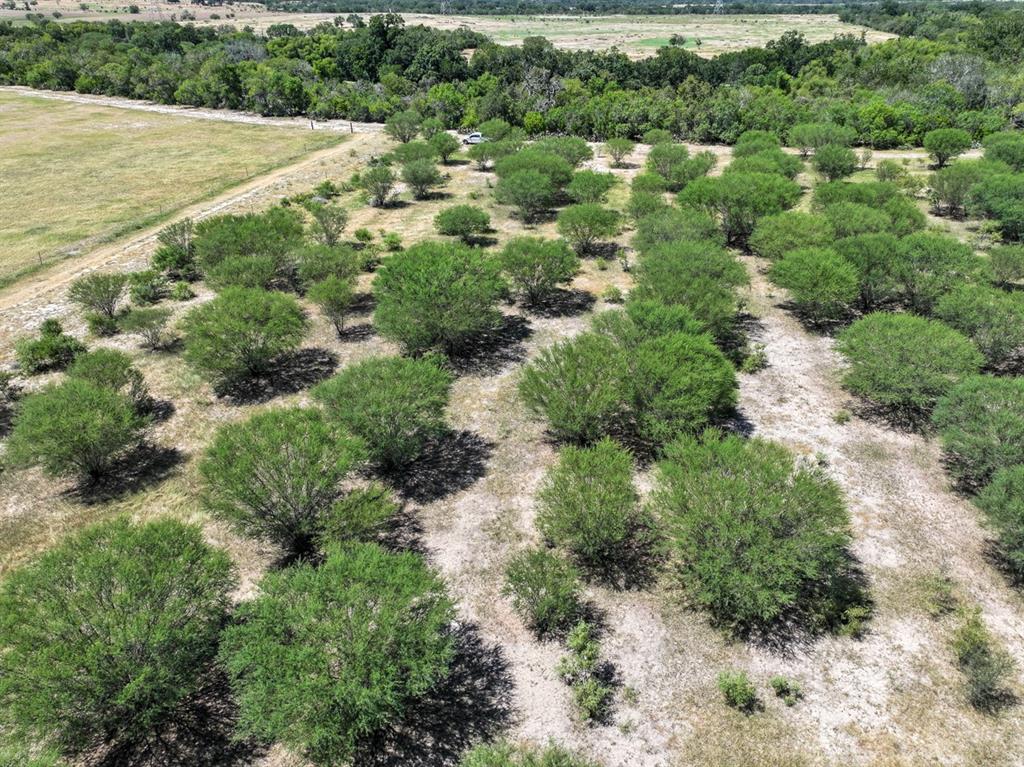 County Road 266, Poth, Texas image 9