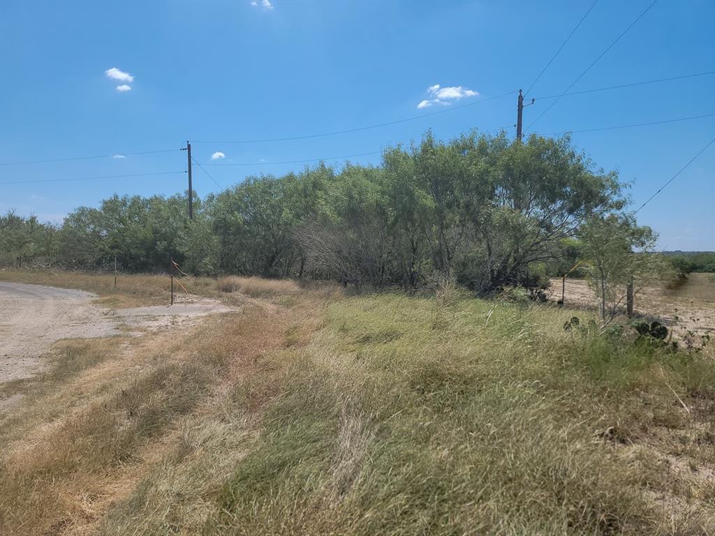 County Road 266, Poth, Texas image 6