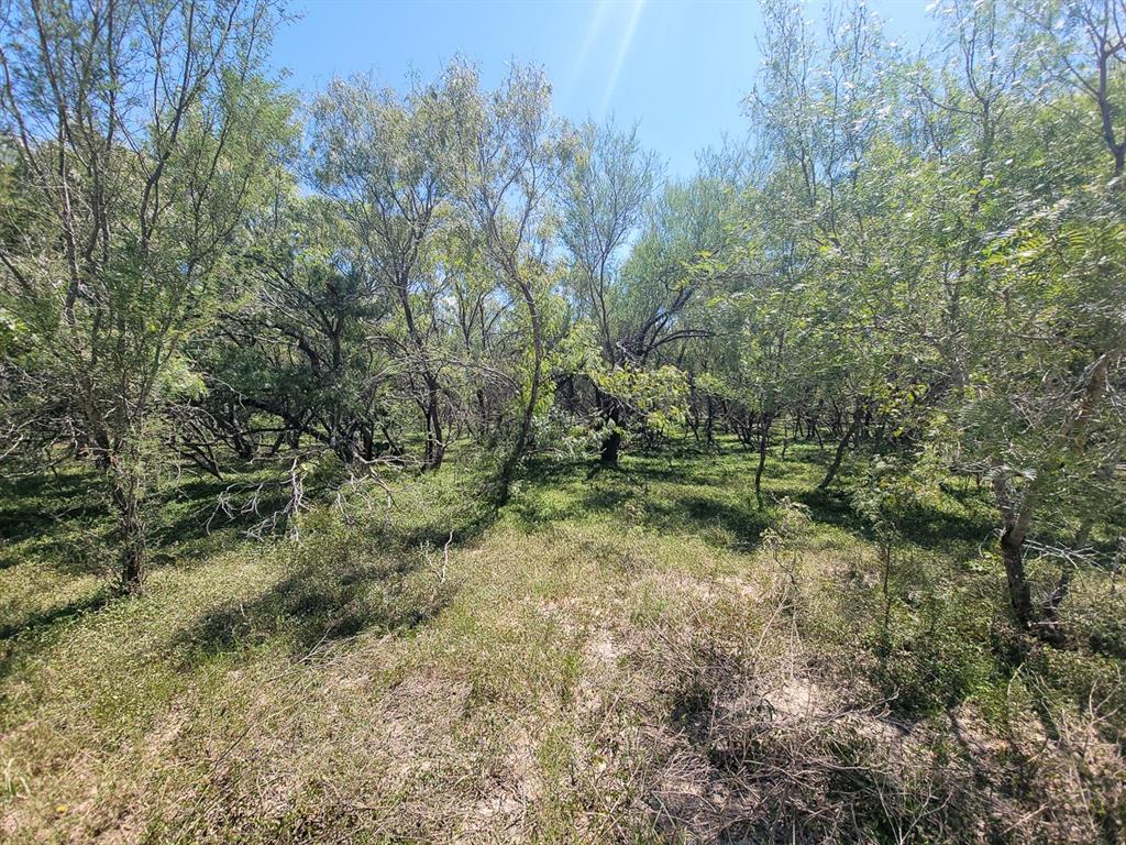 County Road 266, Poth, Texas image 32