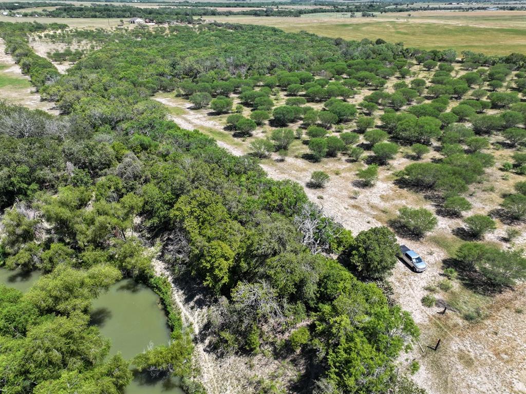 County Road 266, Poth, Texas image 23