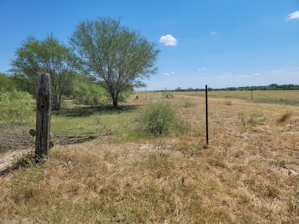 County Road 266, Poth, Texas image 4