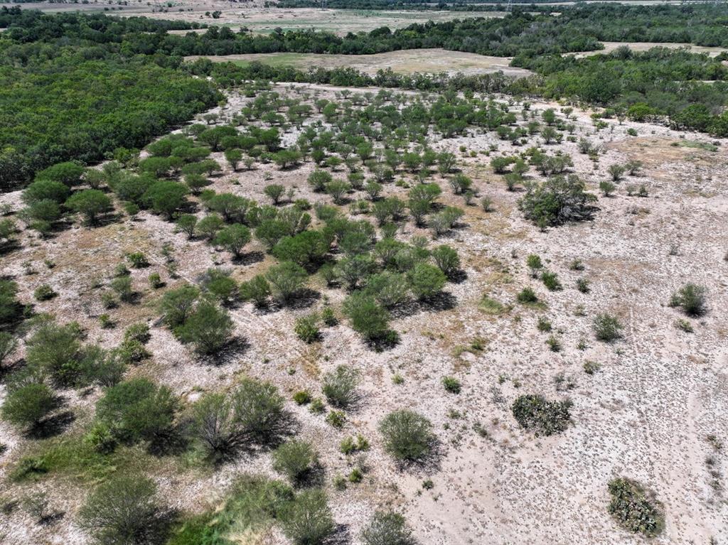 County Road 266, Poth, Texas image 13