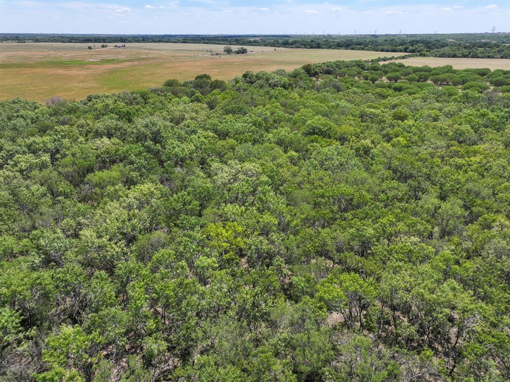 County Road 266, Poth, Texas image 19