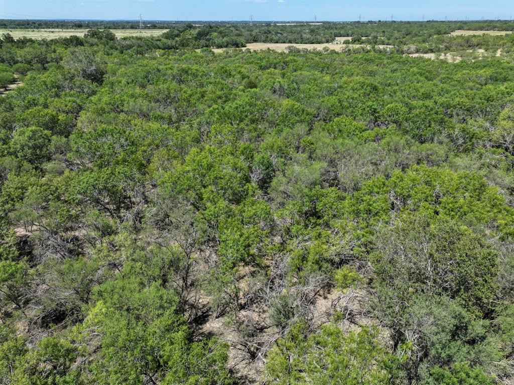 County Road 266, Poth, Texas image 10