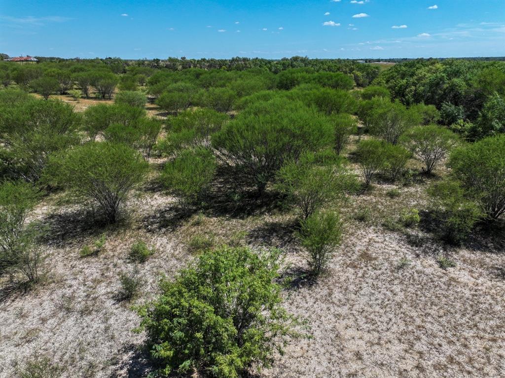 County Road 266, Poth, Texas image 16