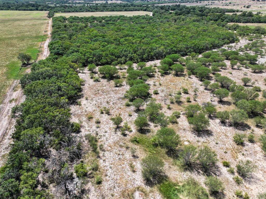 County Road 266, Poth, Texas image 14