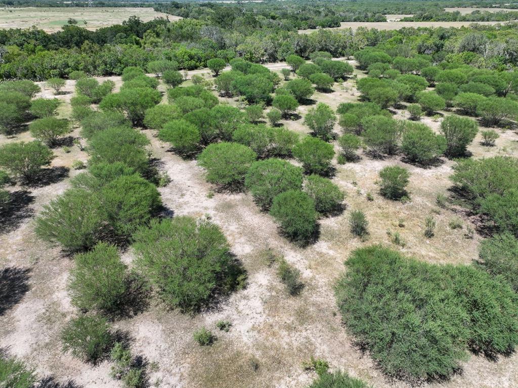 County Road 266, Poth, Texas image 8