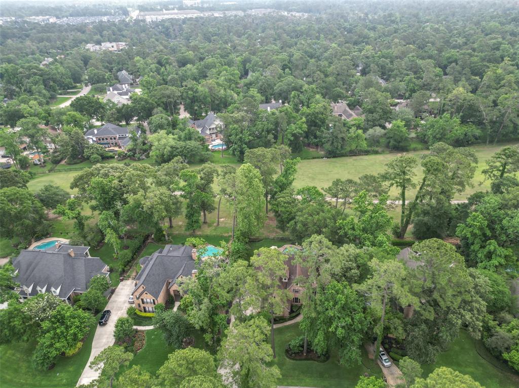 47 Firefall Court, The Woodlands, Texas image 50
