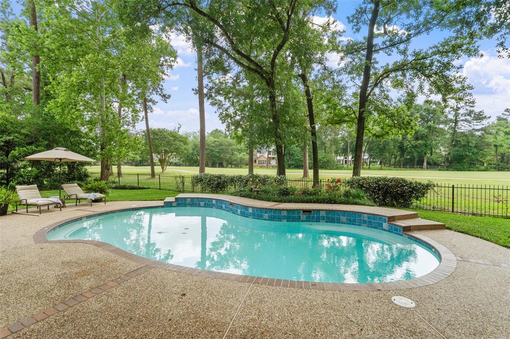 47 Firefall Court, The Woodlands, Texas image 45