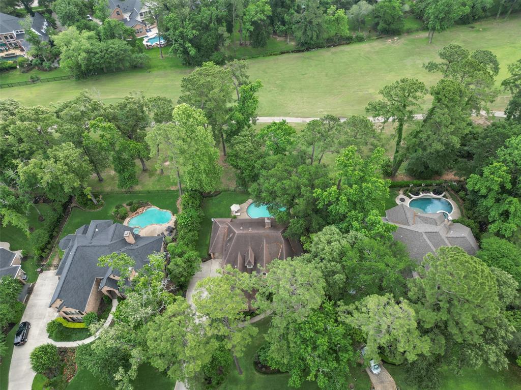 47 Firefall Court, The Woodlands, Texas image 3