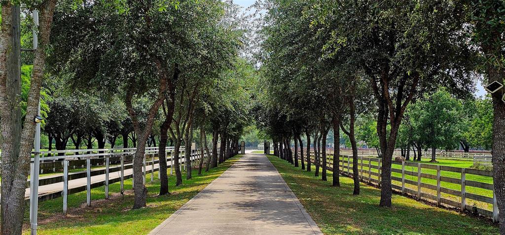 943 High Meadow Ranch Drive