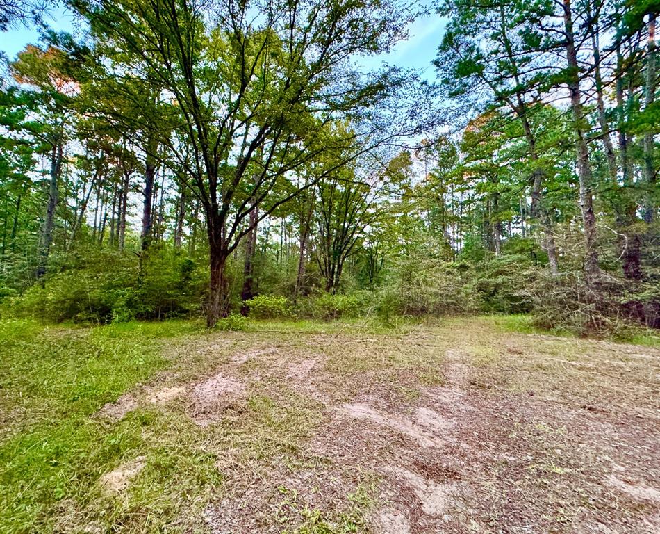 4955 Fm 1374, Huntsville, Texas image 6