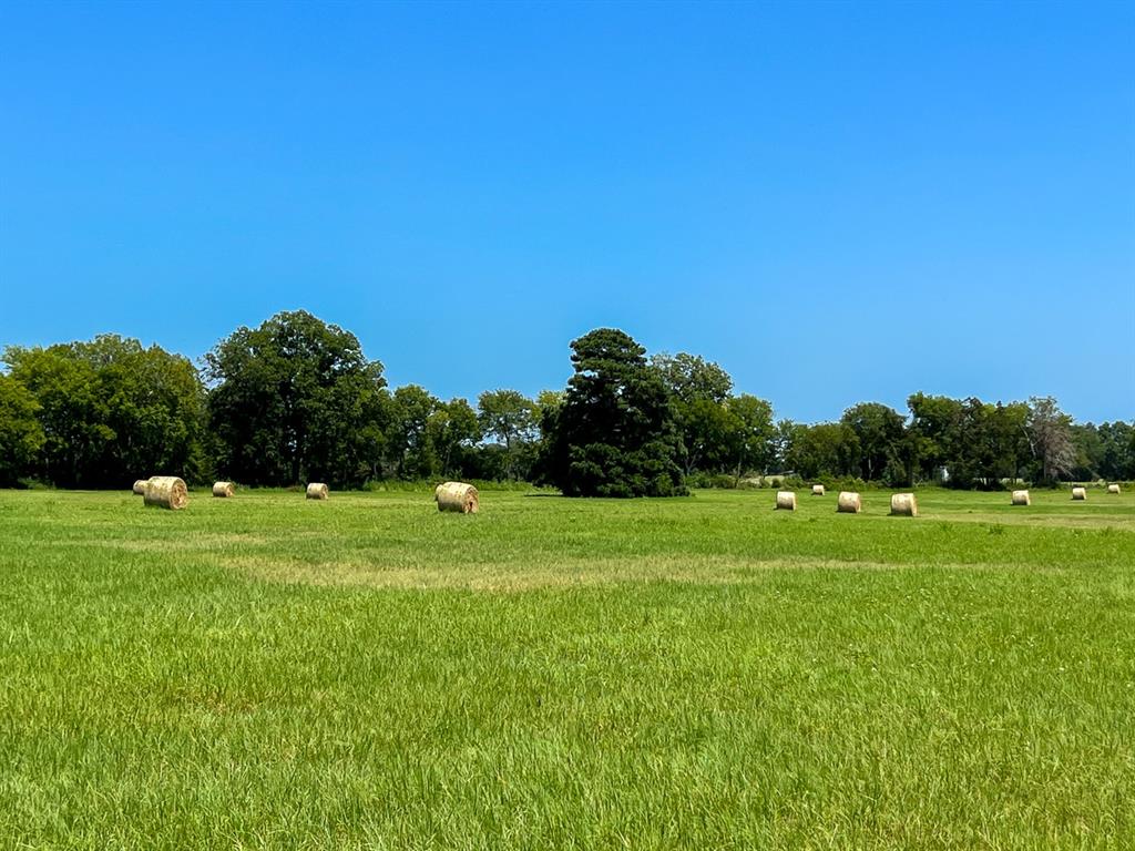 17 County Road 3630, Lovelady, Texas image 8