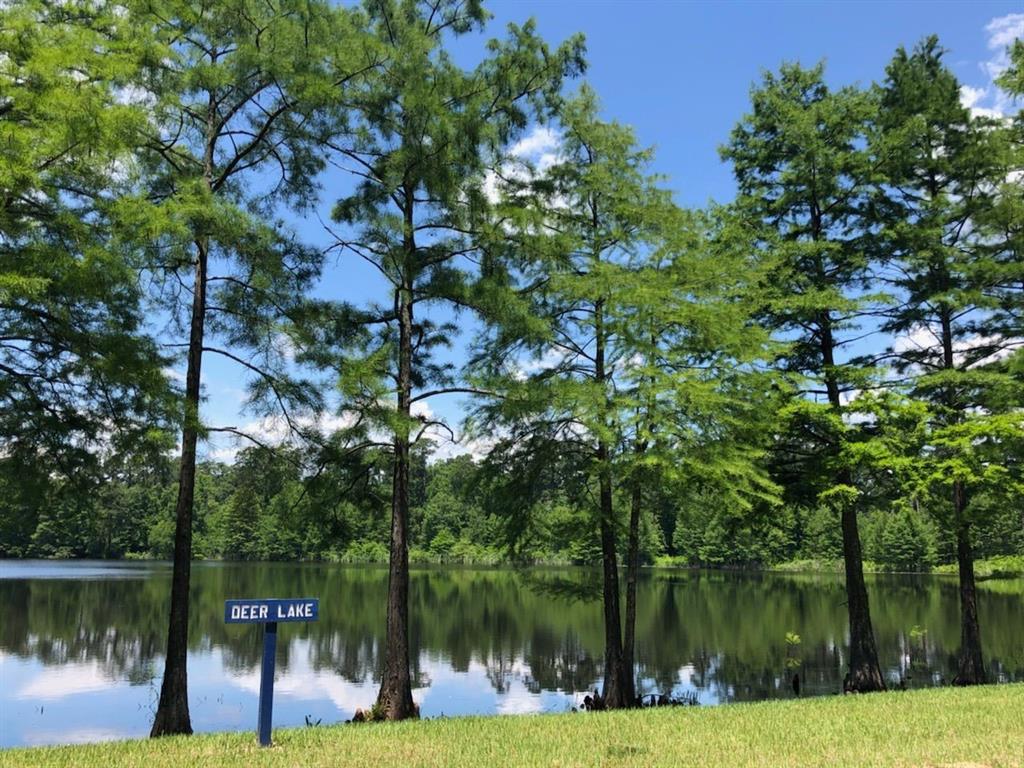 1159 Beals Creek Street, Conroe, Texas image 31