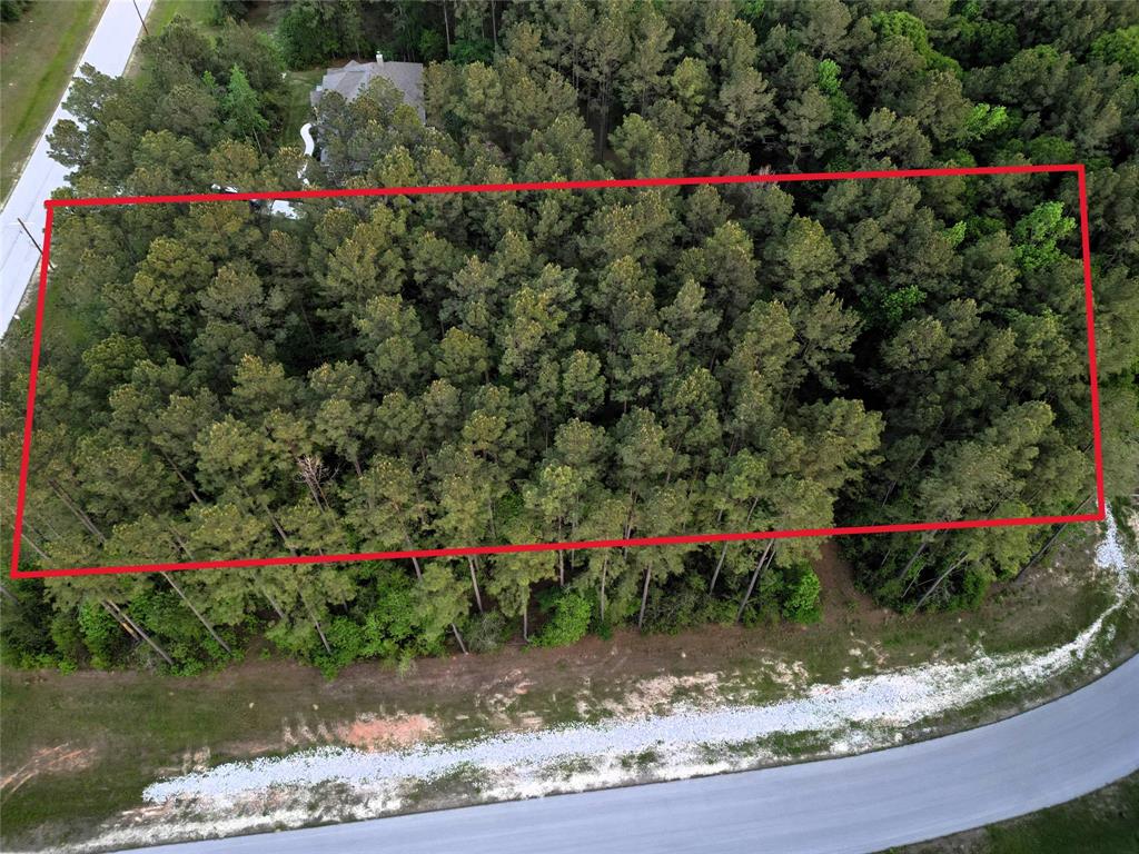 TBD Cooperleaf Road, Huntsville, Texas image 1