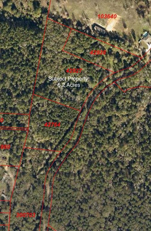 00 Rose Hill Road, Coldspring, Texas image 4