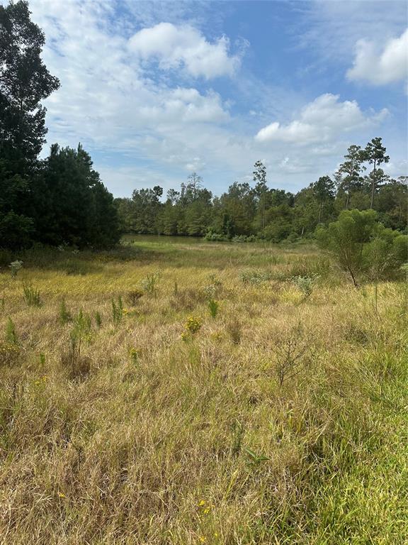 Mendecino Glen Lane, Houston, Texas image 3