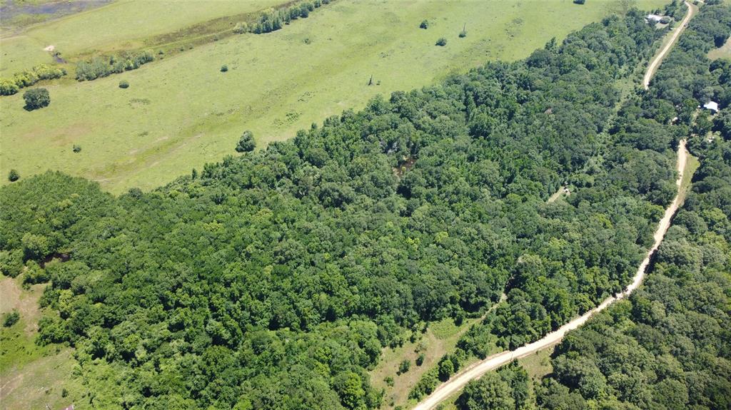 89 Harper Branch Road, Trinity, Texas image 12