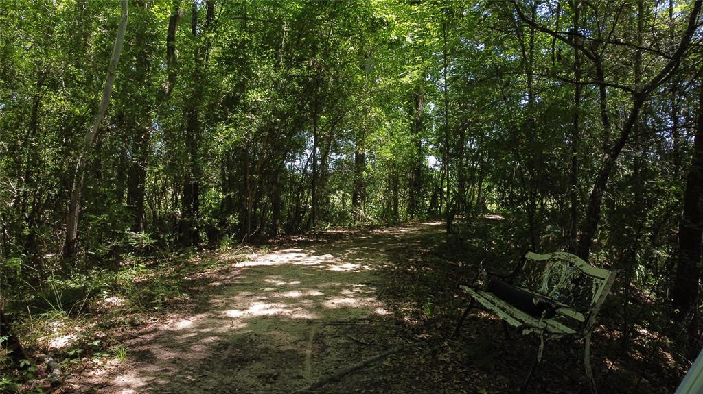 89 Harper Branch Road, Trinity, Texas image 11