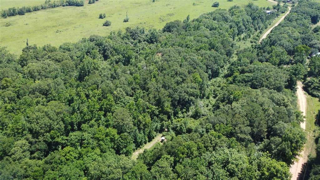 89 Harper Branch Road, Trinity, Texas image 20