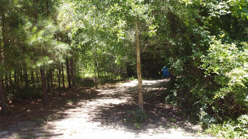 89 Harper Branch Road, Trinity, Texas image 1