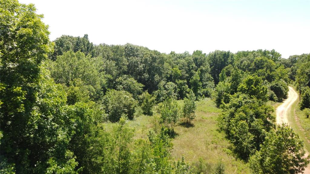 89 Harper Branch Road, Trinity, Texas image 15