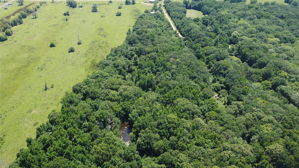 89 Harper Branch Road, Trinity, Texas image 18