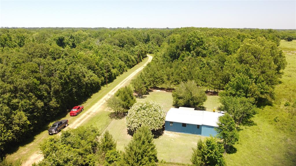 89 Harper Branch Road, Trinity, Texas image 6
