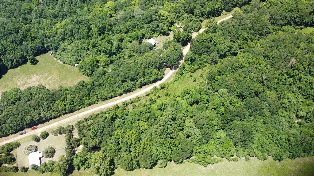 89 Harper Branch Road, Trinity, Texas image 3