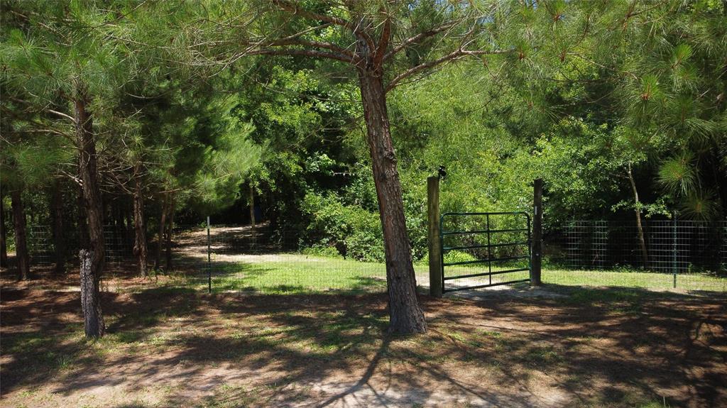 89 Harper Branch Road, Trinity, Texas image 7
