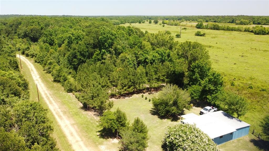 89 Harper Branch Road, Trinity, Texas image 5