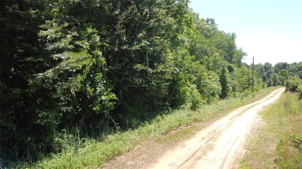 89 Harper Branch Road, Trinity, Texas image 14